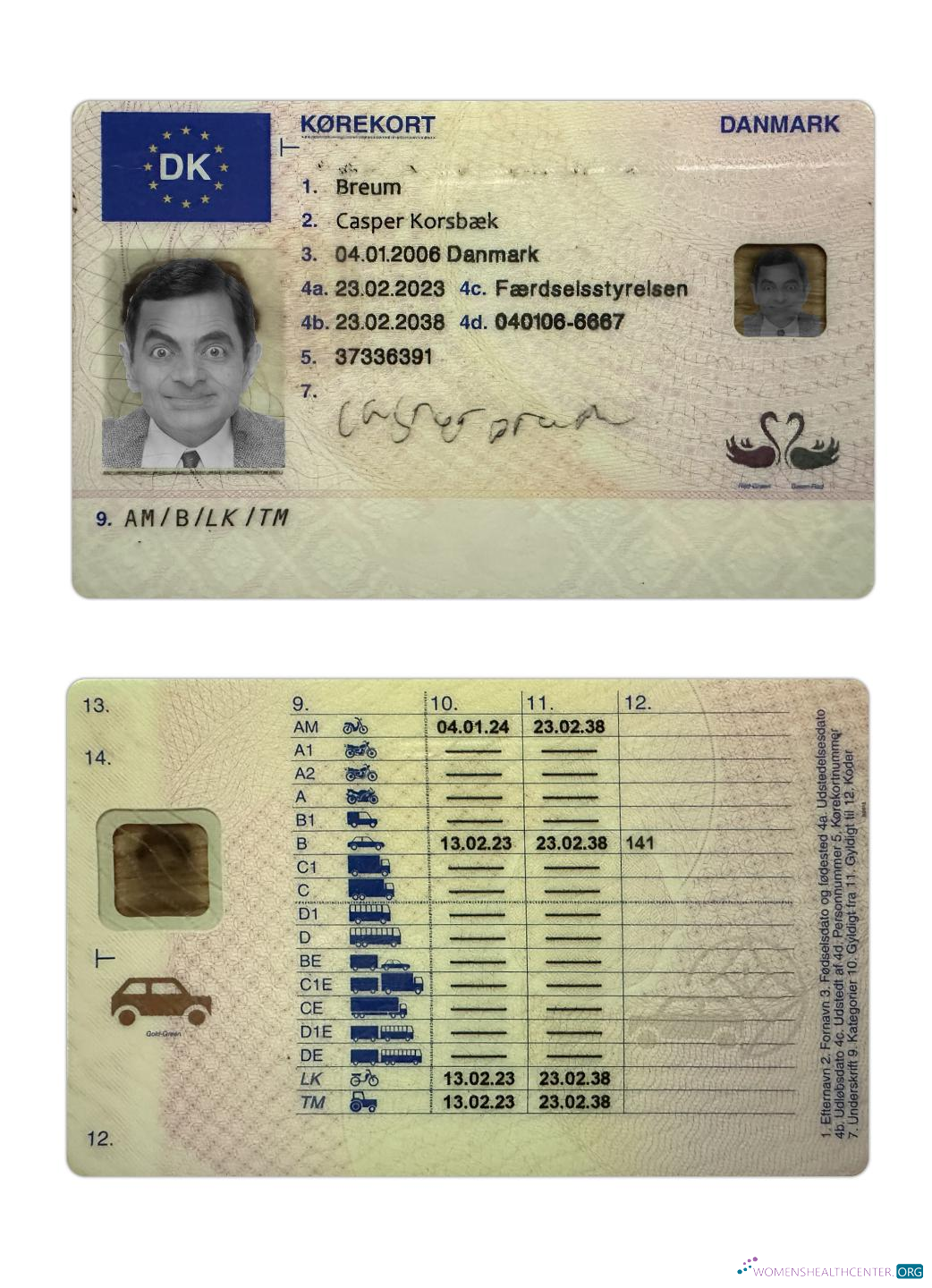 download Denmark driving license 2023 present